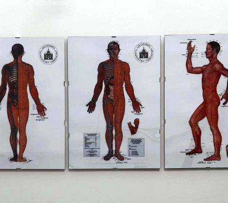 Studio Equilibra Centro benessere Verona 4